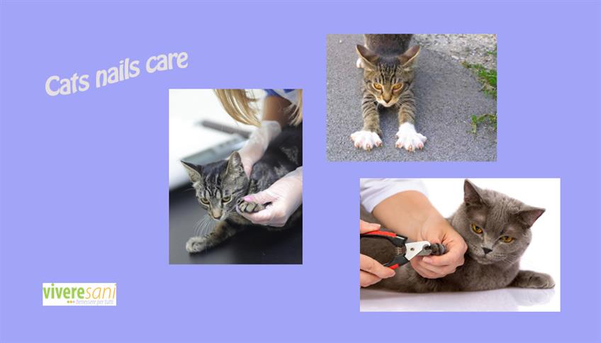 Manicure per gatti Manicure per gatti